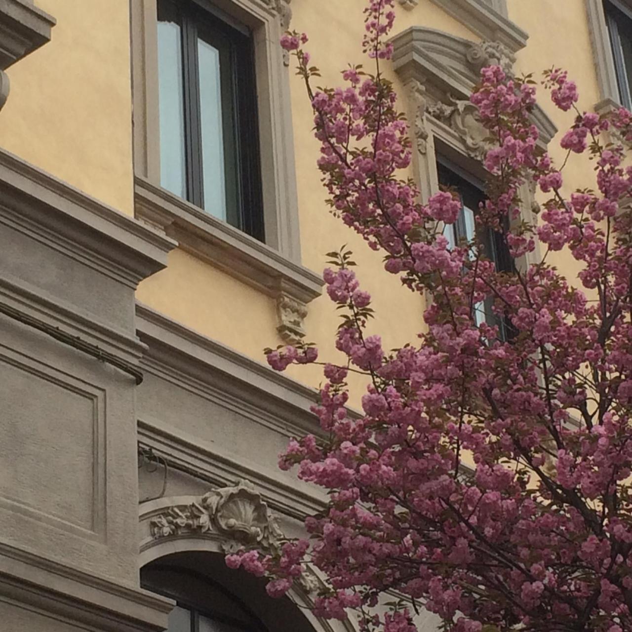 Hotel La Nuova Rotaia Gallarate Eksteriør bilde